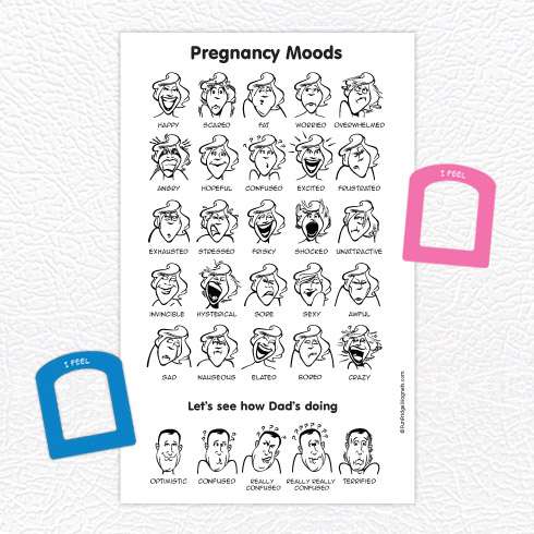 Pregnancy Moods - Fun Fridge Magnets