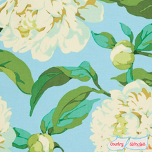 May Peony