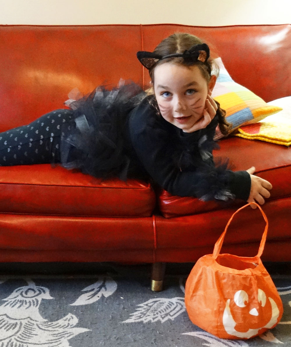 Black Cat Costume Red Couch