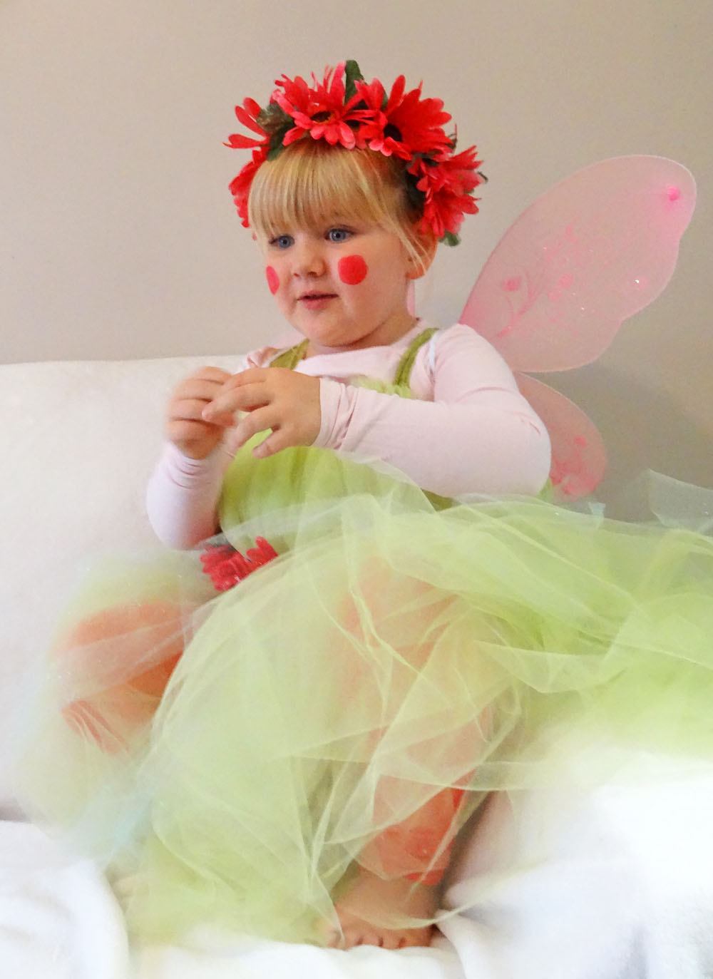 Garden Fairy Costume on a cloud