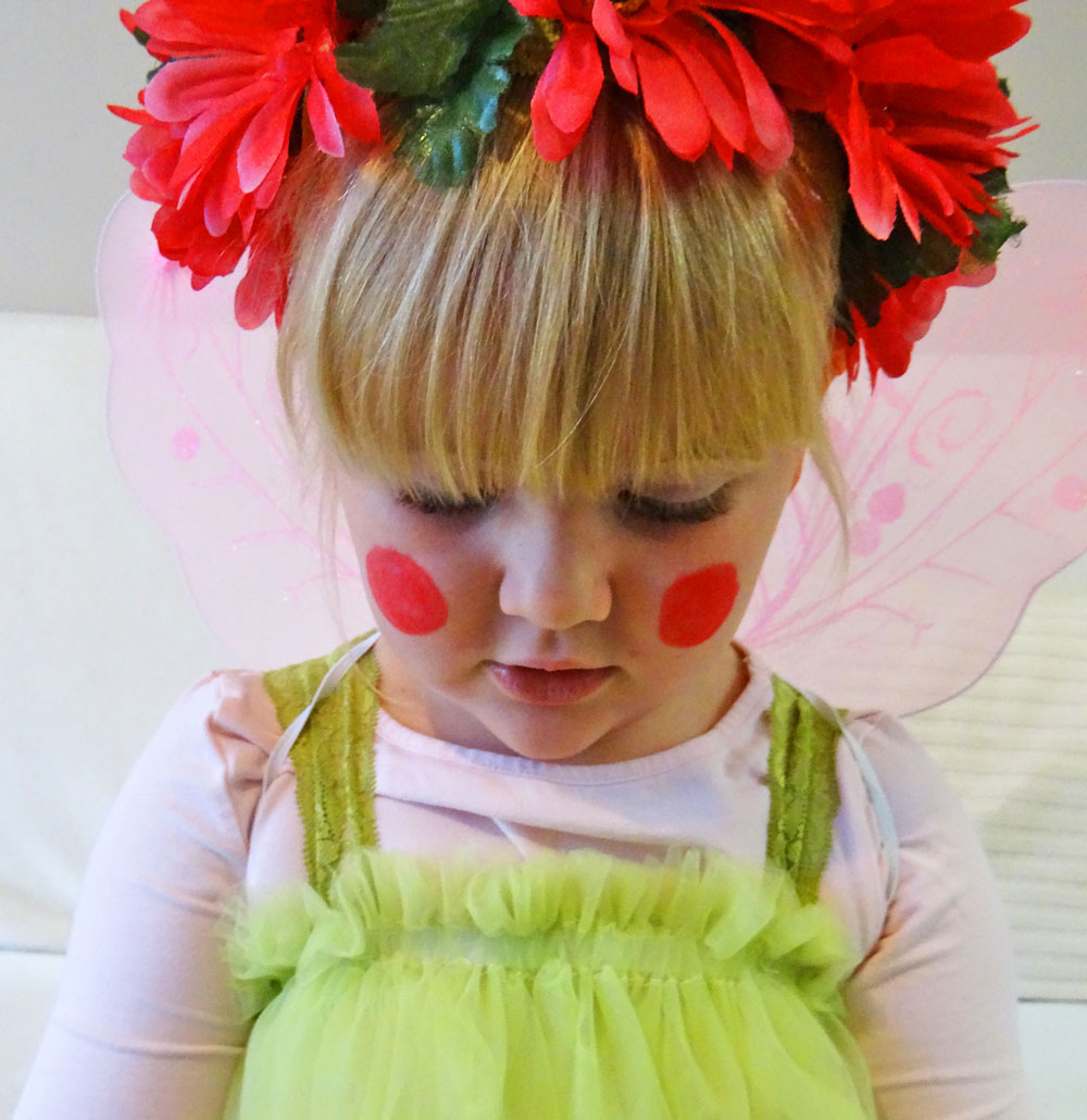 Garden Fairy Costume