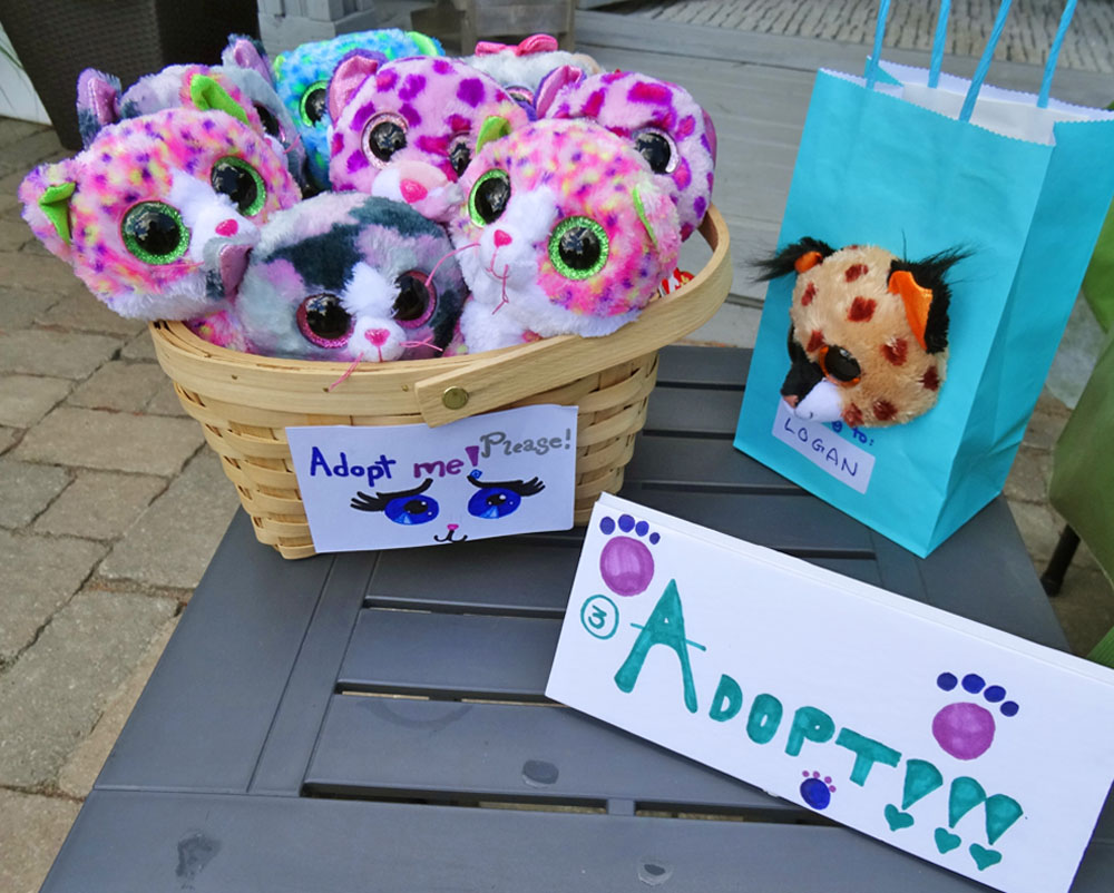 Cat Party - Adopt a Cat