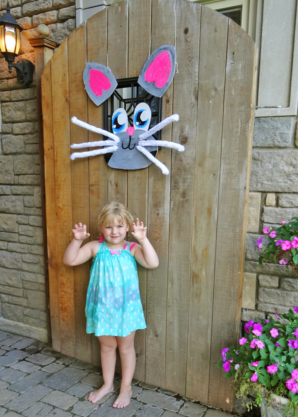 Cat Party - Gate Cat