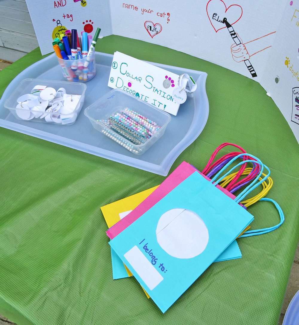 Cat Party - Take Home Bags