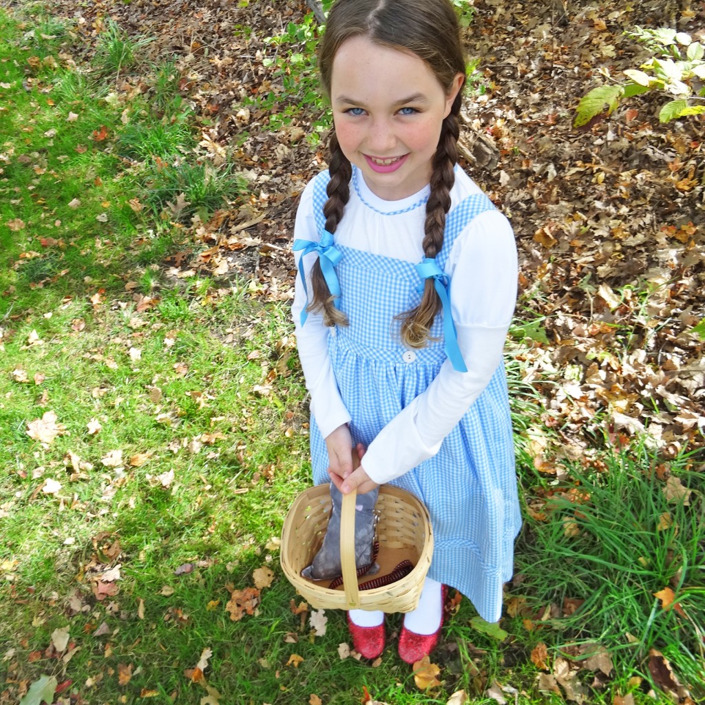 Wizard of Oz - Dorothy