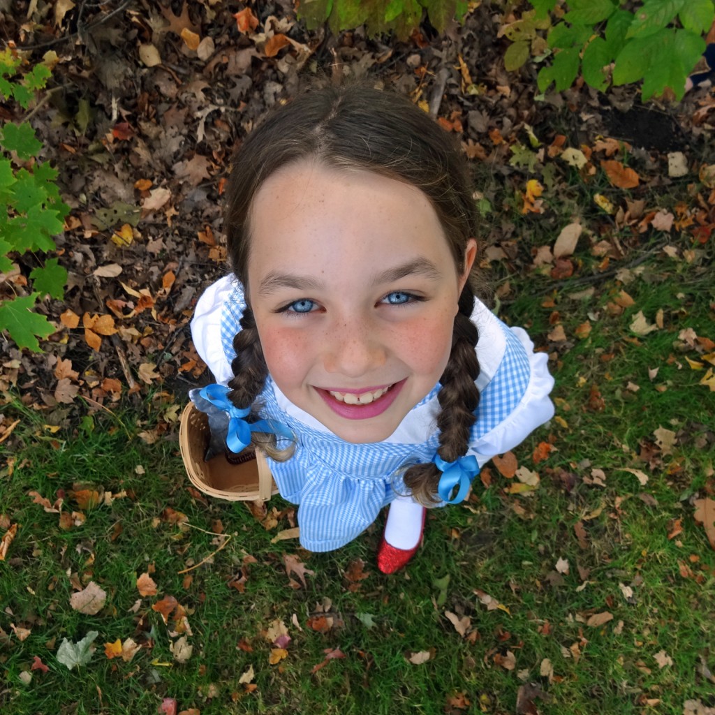 Wizard of Oz - Dorothy