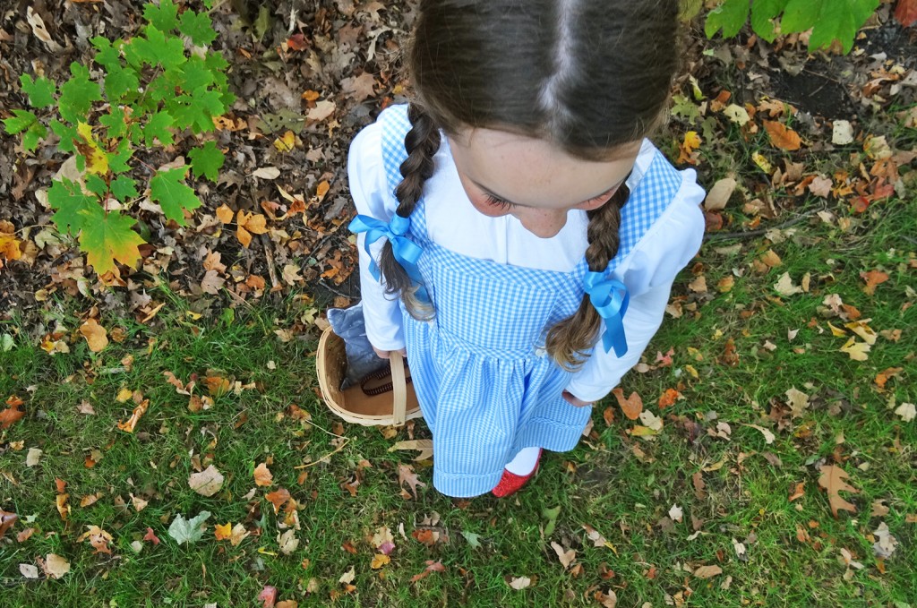Wizard of Oz - Dorothy