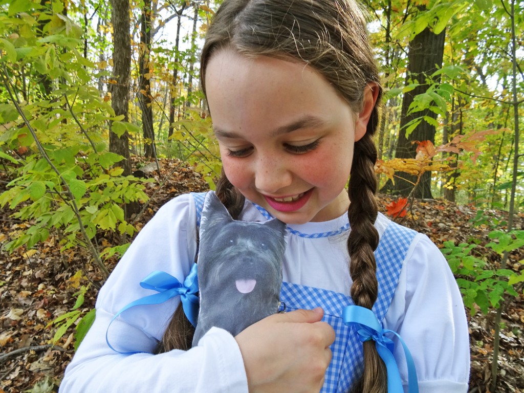 Wizard of Oz - Dorothy