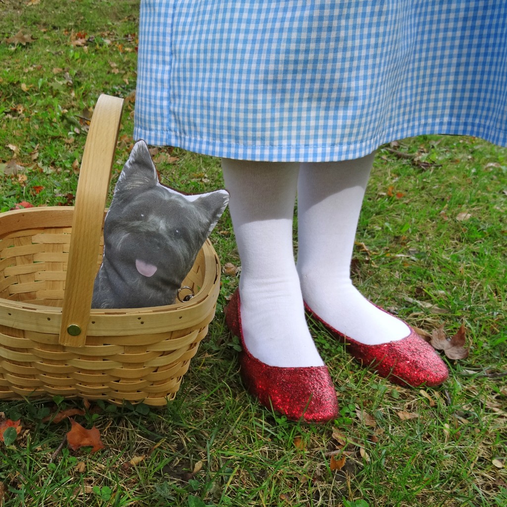 Wizard of Oz - Dorothy