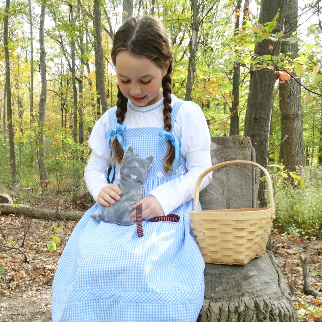 Wizard of Oz - Dorothy
